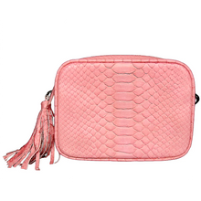 Load image into Gallery viewer, Light Pink tassel Camera Bag
